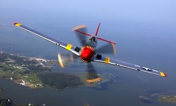 Silver Yellow Red and Black Jet Flying during Daytime