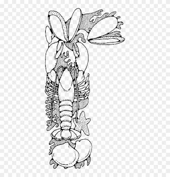 Similar Clip Art - Food Border Clipart Black And White