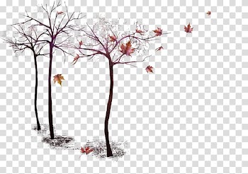 Simple autumn trees transparent background PNG clipart