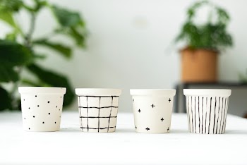 Simple black and white patterned plant pots | Free stock photo | High Resolution image