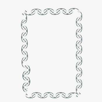Simple Black Menu Border, Simple Lace, Black, Menu Border PNG ...