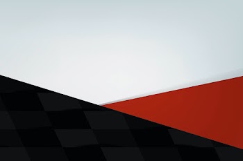 Simple blank red background vector for business