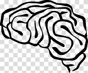 Simple Brain Clipart