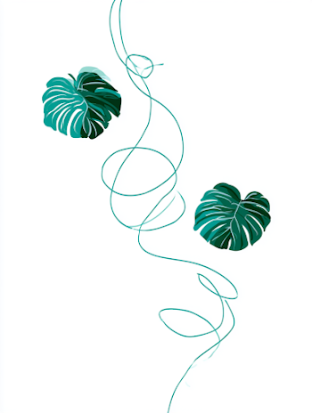 Simple Cartoon Graphic of Connecting Lines with Monstera Deliciosa Leaves
