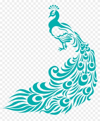 Simple Colorful Peacock Drawing - Border Design For Assignment