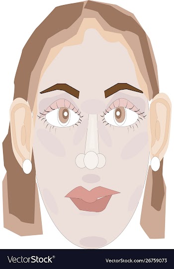 Simple flat female head and face vector image