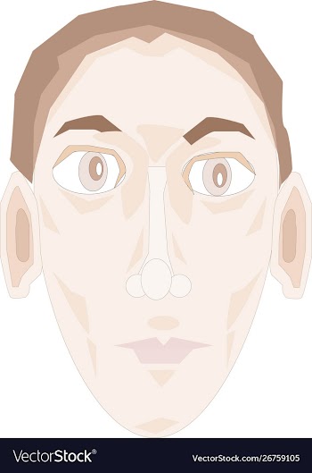 Simple flat male head and face vector image