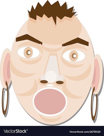 Simple flat tribal and native head and face vector image