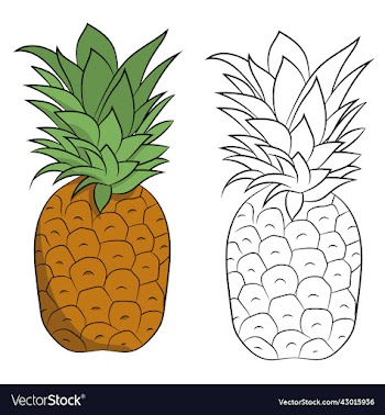 simple hand drawn pineapple fruit
