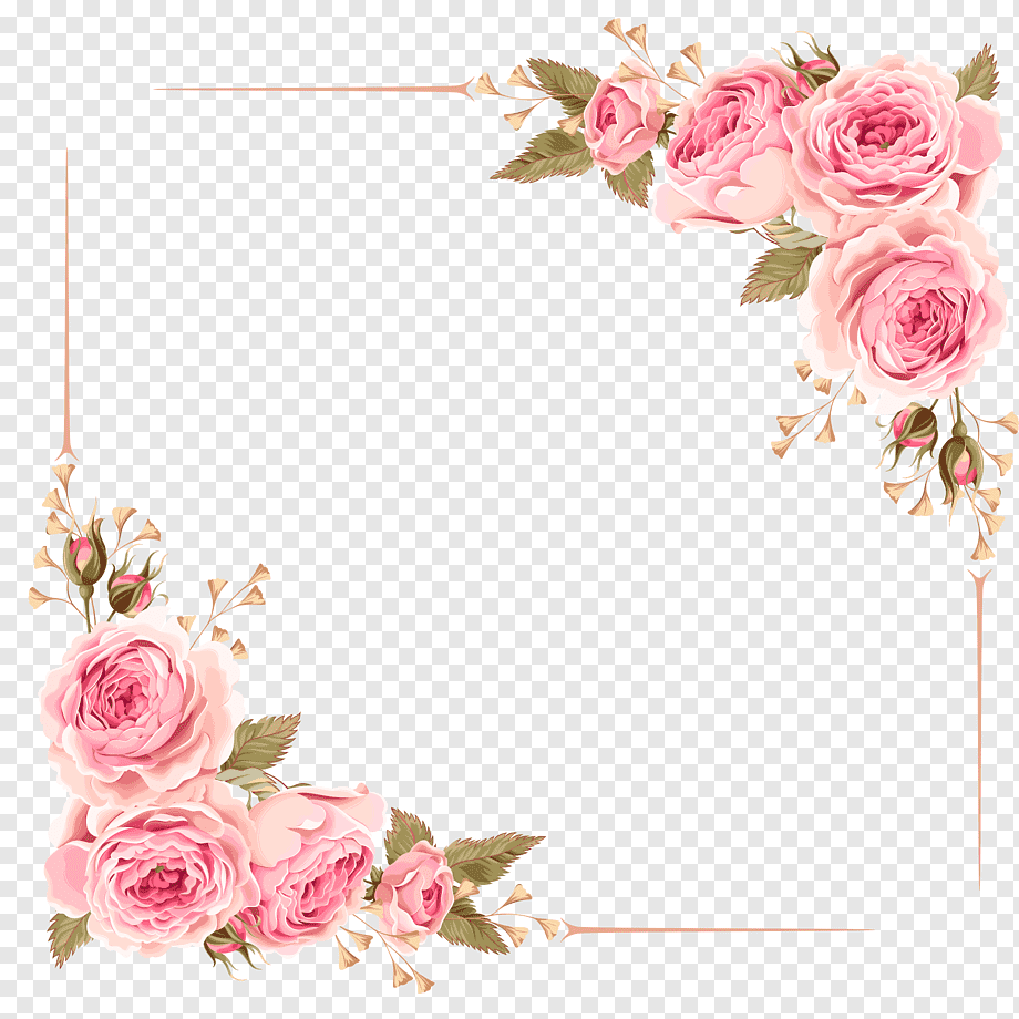 Simple hand-drawn Rose border, rose, pink roses, rose frame png