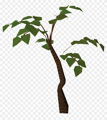 Simple Jungle Tree Clipart Cliparts - Jungle Trees Png