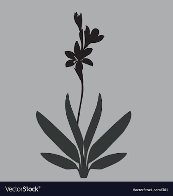 Simple lily vector image