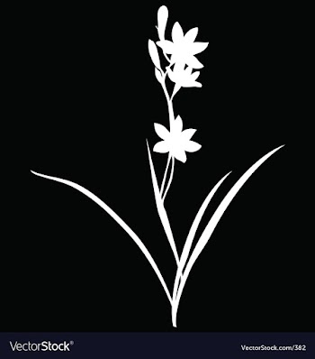 Simple orchid vector image