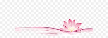 Simple pink flowing decoration 