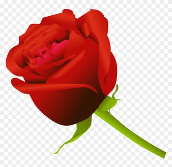 Simple Rose By Dekomaru On Deviantart - Simple Rose