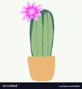 simplicity cactus plant freehand drawing flat