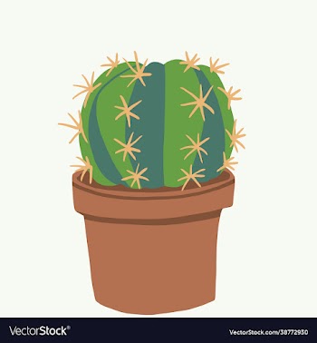 simplicity cactus plant freehand drawing flat