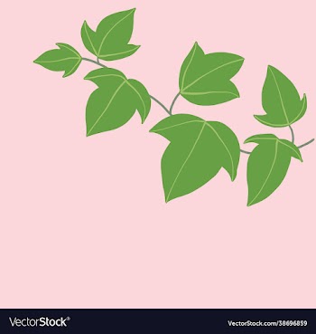 simplicity ivy freehand drawing flat design