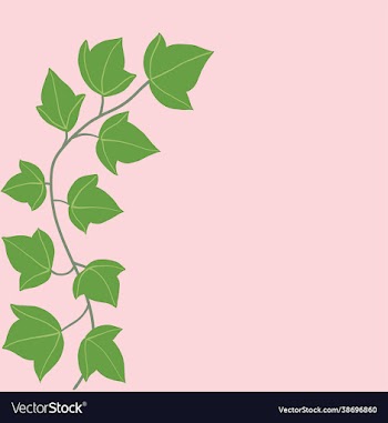 simplicity ivy freehand drawing flat design