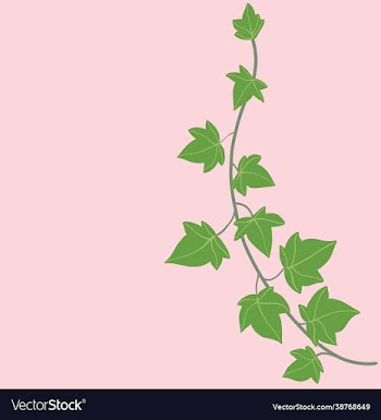 simplicity ivy freehand drawing flat design