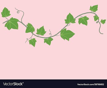 simplicity ivy freehand drawing flat design