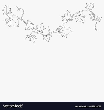 simplicity ivy freehand drawing flat design