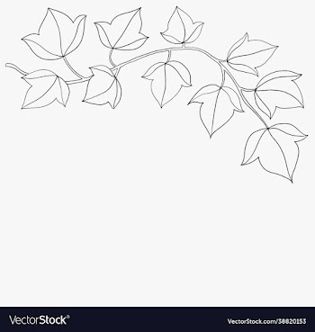 simplicity ivy freehand drawing flat design