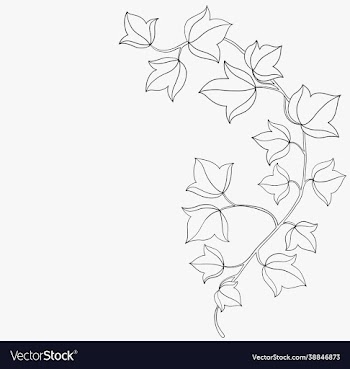 simplicity ivy freehand drawing flat design