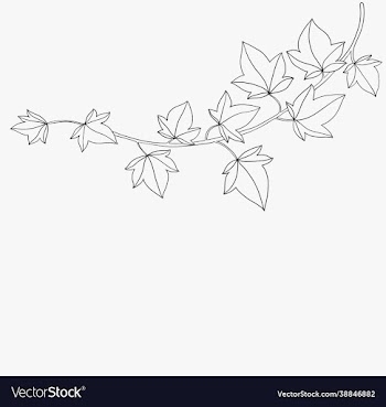 simplicity ivy freehand drawing flat design