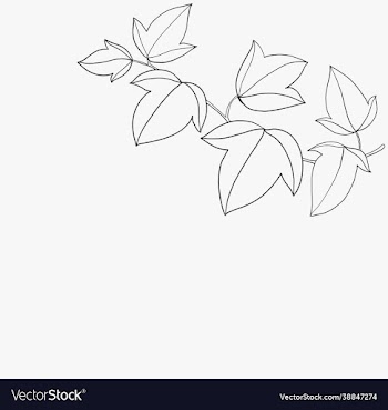 simplicity ivy freehand drawing flat design