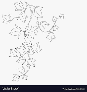 simplicity ivy freehand drawing flat design
