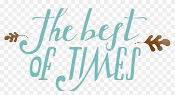 Since Some Time We Started A Partnership With “the - Calligraphy