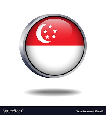 singapore flag button