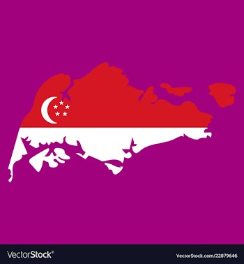 Singapore map with shadow effect vector image