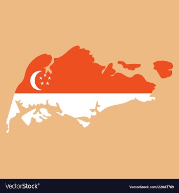 Singapore map with shadow effect vector image