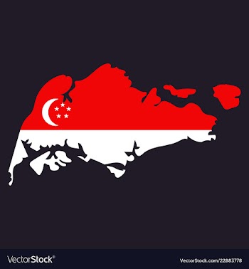Singapore map with shadow effect vector image