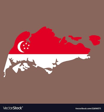 Singapore map with shadow effect vector image