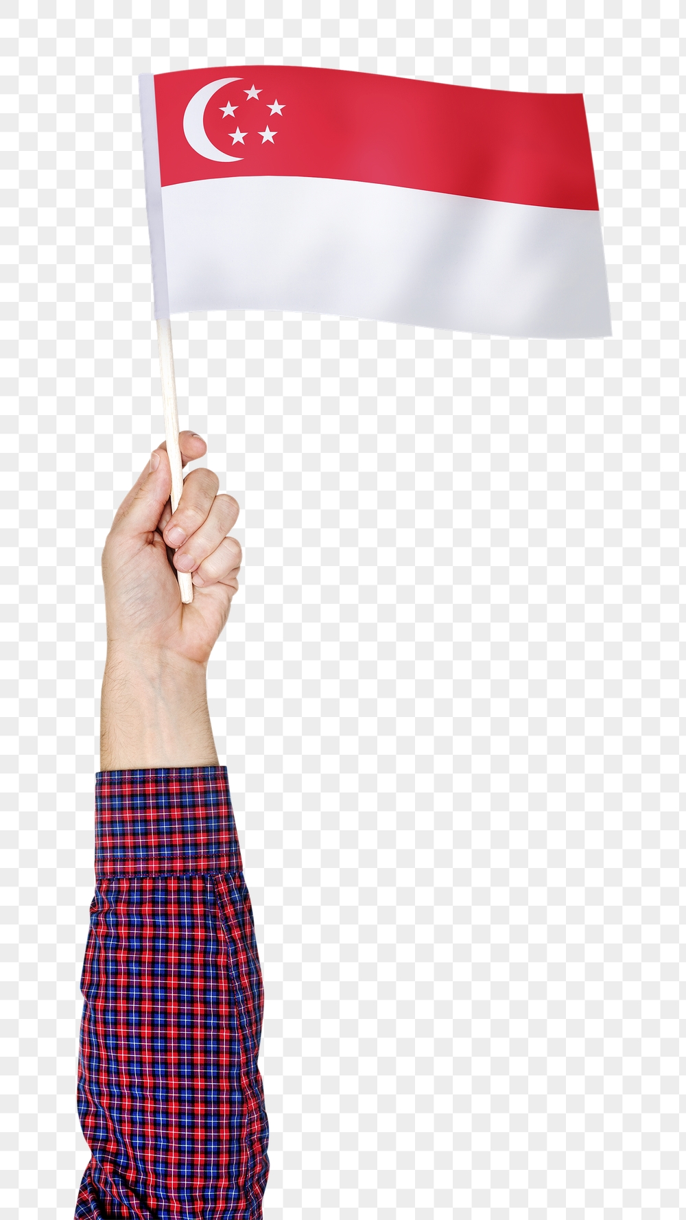 Singaporean flag png in hand | Free PNG - rawpixel