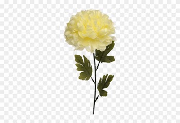 Single Ball Mum Artificial Flower Stem - Lady Banks' Rose