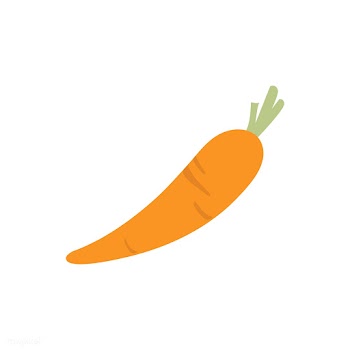 Single carrot isolated graphic illustration | Free stock vector - 429396