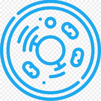 Single cell sequencing Clip art Mitosis/Cytokinesis Cell division - cells icon 
