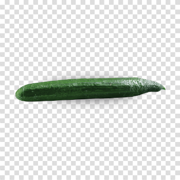 Single Cucumber PNG Image
