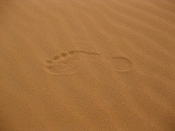 Single Foot Print on the Sand
