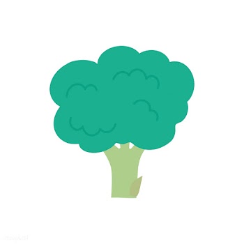 Single fresh green broccoli graphic illustrat.. | Free stock vector - 429481