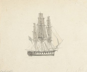 Single Hermaphrodite Brig | Free Photo - rawpixel