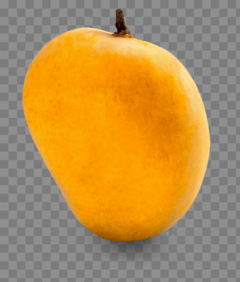 Single Mango Free PNG Image