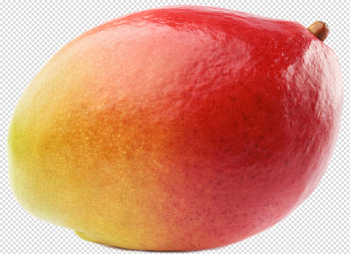 Single Mango PNG Photo
