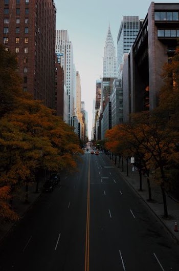 single perspective photography of pathway surrounded by buildings