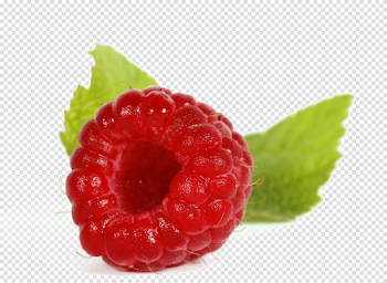 Single Raspberry PNG Image Background