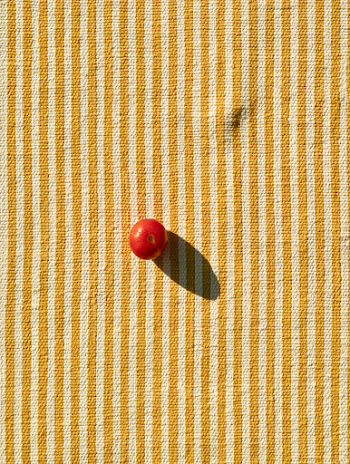 Single Red Heirloom Tomato on Striped Fabric